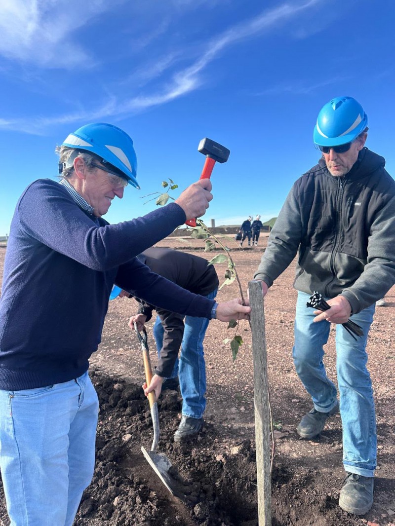 Plantaron 280 �rboles en el mirador de la planta L'Amal�